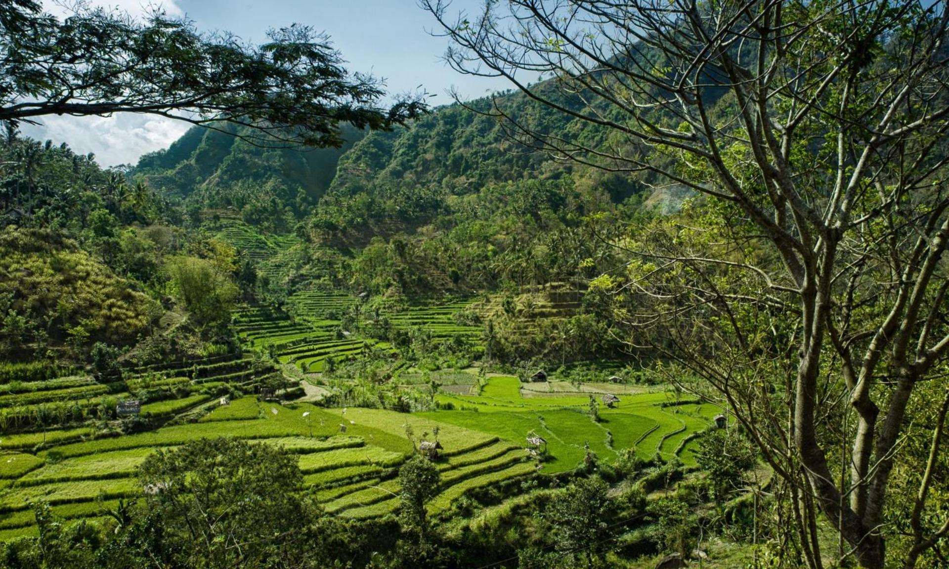 Retreat Villa Toraja Baturinggit Кубу Экстерьер фото